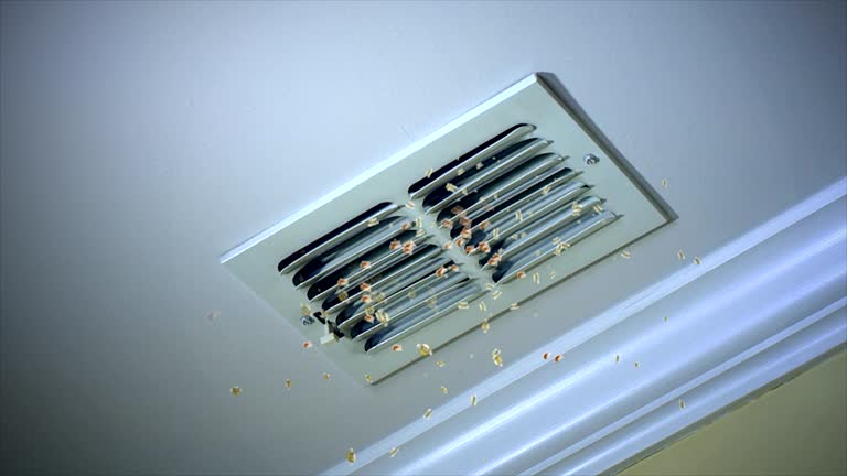 Best Best Air Duct Cleaning Company  in Zachary, LA