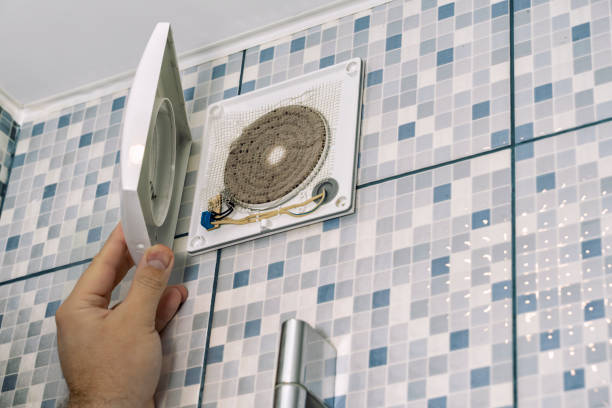 Air Duct Mold Removal in LA